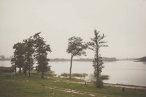 Ландшафт з озером і лісом — стокове фото