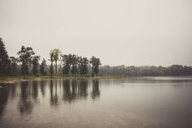 Paysage avec lac et forêt — Photo de stock
