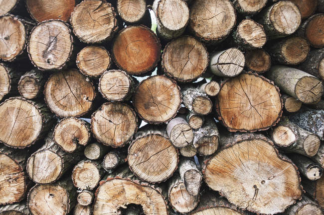 Grumes de bois de chauffage — Photo de stock