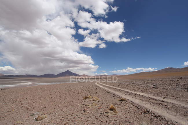 Landscape with Bolivian desert view in sunny daytime, mountains on background, Argentina — Stock Photo