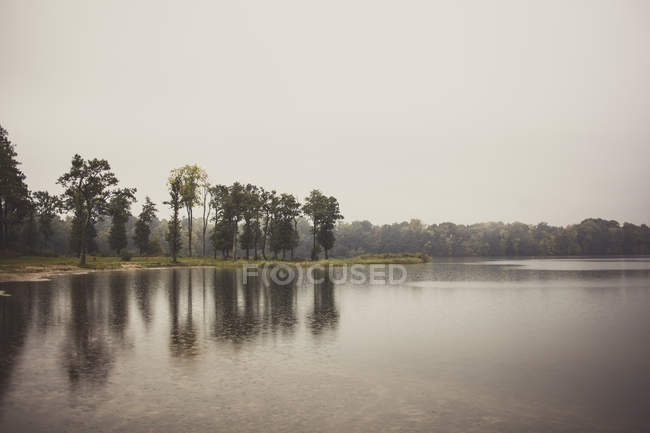 Пейзаж з озером і лісом — стокове фото