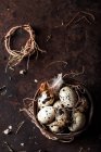 Huevos de codorniz en un bol - foto de stock