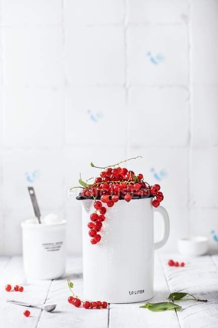 Ribes rosso fresco — Foto stock