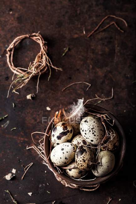 Quail eggs in a bowl — Stock Photo