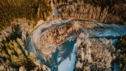 Tagsüber Luftaufnahme des Gebirgsflusses und des Waldes — Stockfoto