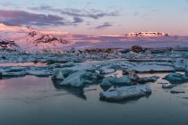 Distant view of icebergs and frozen snowy shore at sunset — Stock Photo