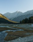 Vista diurna del paisaje montañoso con río cerca del lago Medecine, Parque Nacional Jasper - foto de stock
