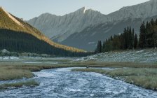 Vista diurna del paesaggio montano con fiume vicino al lago Medicine, Parco nazionale Jasper — Foto stock