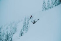 Vista diurna de la persona snowboard en la ladera nevada de la montaña - foto de stock