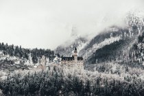 Vista diurna do castelo de Neuschwanstein na floresta nevada, Baviera, Alemanha — Fotografia de Stock