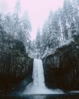 Vue de jour de la cascade d'Abiqua Falls et de la forêt enneigée de l'Oregon — Photo de stock