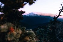 Vue lointaine des arbres et du paysage montagneux à Winchester Mountain Lookout, North Cascades, Washington — Photo de stock