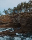 Vista diurna degli alberi sulla rocciosa Cape Flattery, Washington — Foto stock