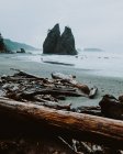 Vista diurna della persona in piedi sulla spiaggia sabbiosa di Rialto, Washington, USA — Foto stock