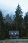 Денний вид на дерев'яний будинок біля лісу — стокове фото