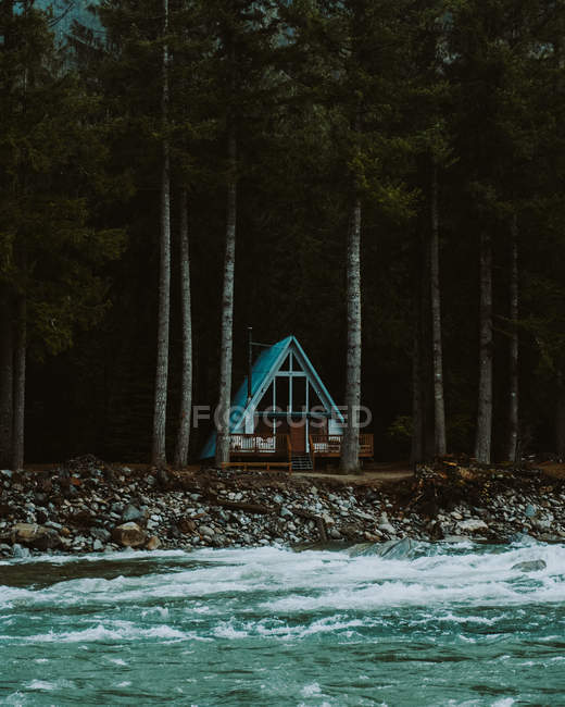 Денний вид на трикутник дерев'яна хатина в лісі на березі річки — стокове фото