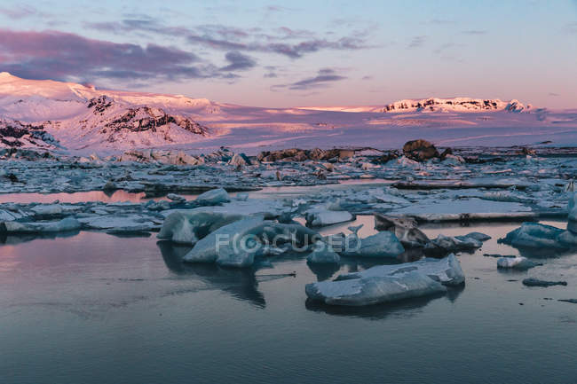 Distant view of icebergs and frozen snowy shore at sunset — Stock Photo