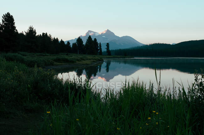 Vista lejana de las montañas y el bosque reflejado en aguas tranquilas del lago - foto de stock
