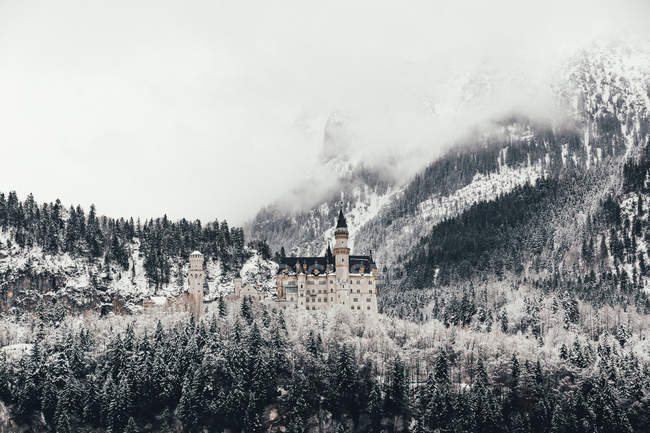 Daytime view of Neuschwanstein castle in snowy forest, Bavaria, Germany — Stock Photo