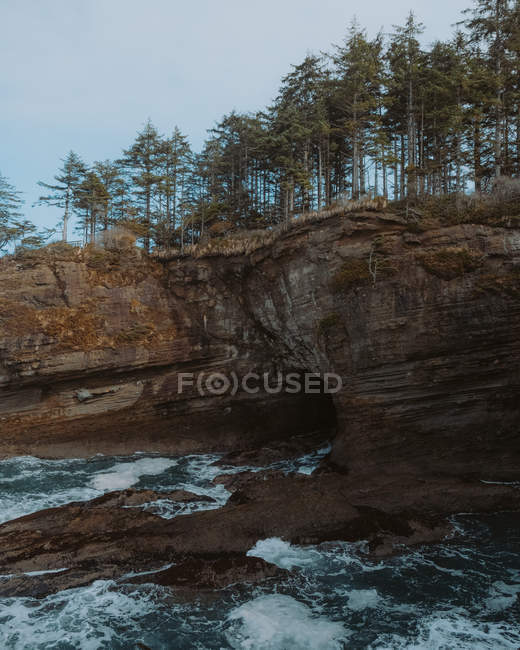 Vista diurna degli alberi sulla rocciosa Cape Flattery, Washington — Foto stock