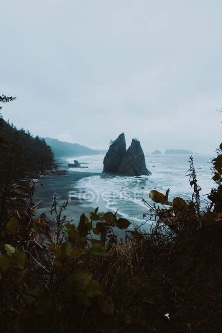 Vue diurne de la plage et du littoral sablonneux du Rialto à Washington, USA — Photo de stock