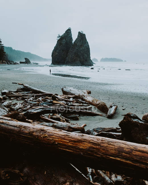 Vista diurna da pessoa em pé na praia de Rialto, Washington, EUA — Fotografia de Stock