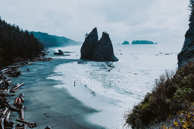 Vista elevada diurna da pessoa que caminha na praia de Rialto, Washington, EUA — Fotografia de Stock