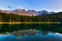 Pine forest reflecting in lake — Stock Photo