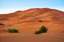 Sand dunes in Sahara desert — Stock Photo