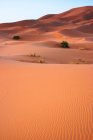 Dunes de sable dans le désert du Sahara — Photo de stock