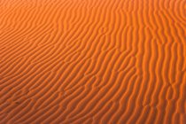 Dunas de areia em Saara — Fotografia de Stock