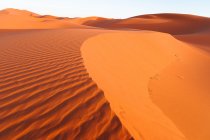 Піщані дюни в пустелі Сахара — стокове фото
