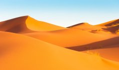 Піщані дюни в пустелі Сахара — стокове фото