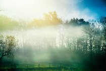 Prado nebuloso no campo — Fotografia de Stock