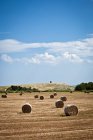 Сено тюки на поле в сельской местности — стоковое фото