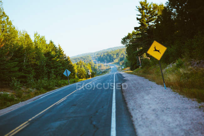 Лось предупреждающий знак на дороге — стоковое фото