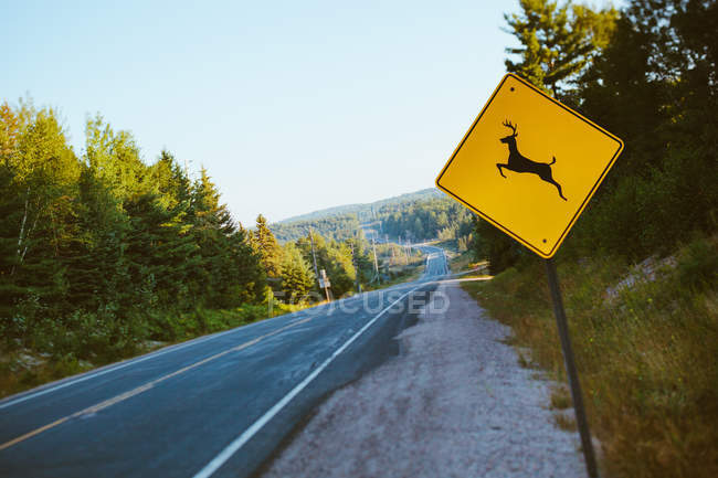 Panneau d'avertissement d'orignal sur la route — Photo de stock