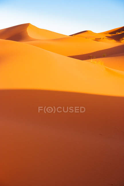 Dunas de arena en el desierto del Sahara - foto de stock
