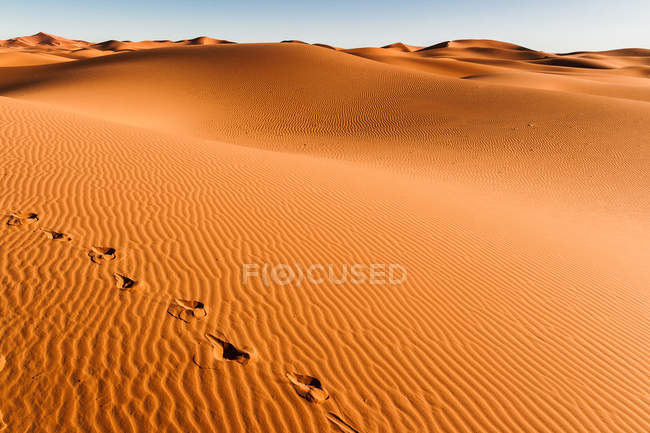 Dune di sabbia nel deserto del Sahara — Foto stock