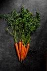 Zanahorias maduras recién recogidas - foto de stock