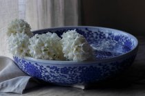 Blue and White patterned Bowl with Hyacinth flowers — Stock Photo