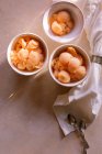 Sorbete Cantaloupe en cuencos - foto de stock