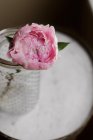 Primer plano de flor de peonía rosa cortada fresca en frasco - foto de stock
