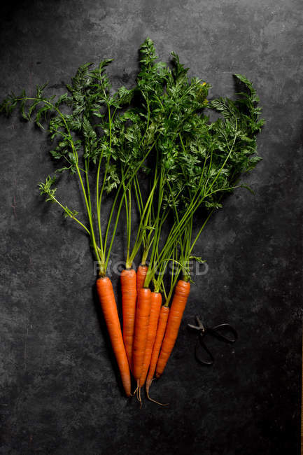 Свежая сорванная морковь — стоковое фото
