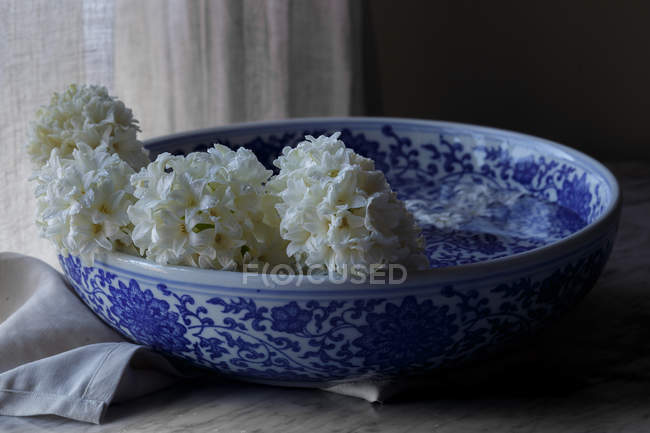 Blau-weiß gemusterte Schale mit Hyazinthenblüten — Stockfoto