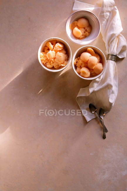 Cantaloupe Sorbet in bowls — Stock Photo