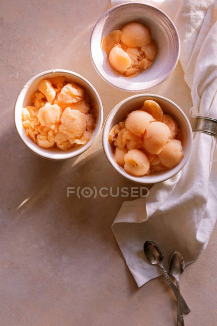 Sorbete Cantaloupe en cuencos - foto de stock