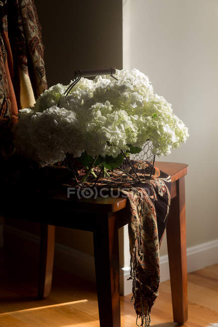 Fresh cut hydrangea flowers in wire basket on wooden chair — Stock Photo