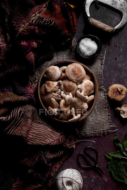 Shiitake Mushrooms in bowl on dark background with fabric and sackcloth — Stock Photo