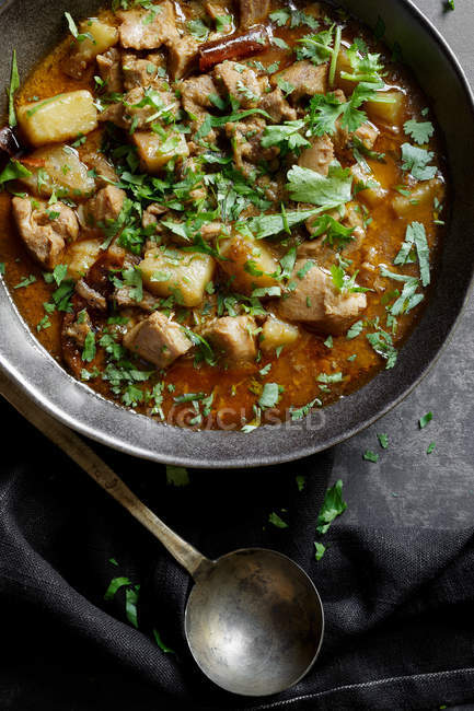 Gros plan du curry de poulet dans un bol avec louche — Photo de stock